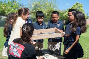 The 2nd graders see how sand sorting works to remove plastic waste from beaches.