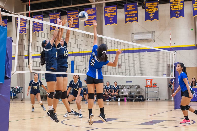Two volleyball players blocking at the net