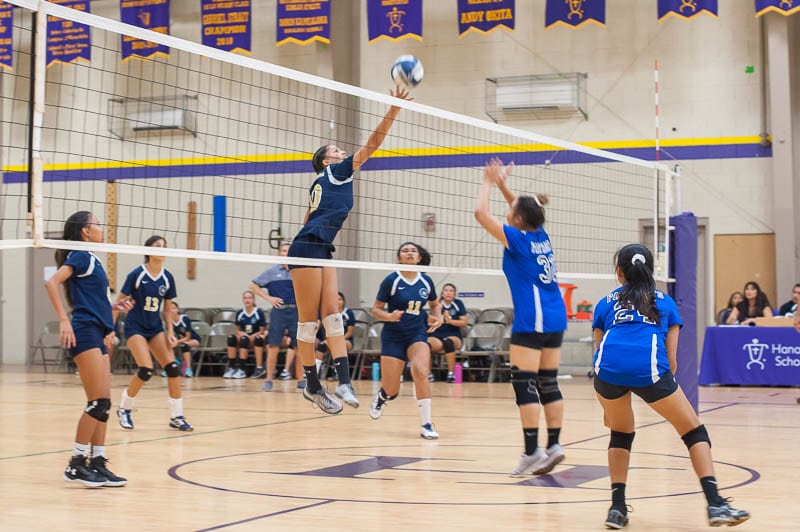 IPA Girls' Varsity Volleyball Team Captures Championship - Island ...