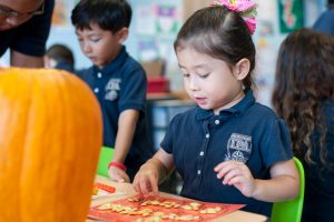 Kindergarten student counting pumpkin seeds
