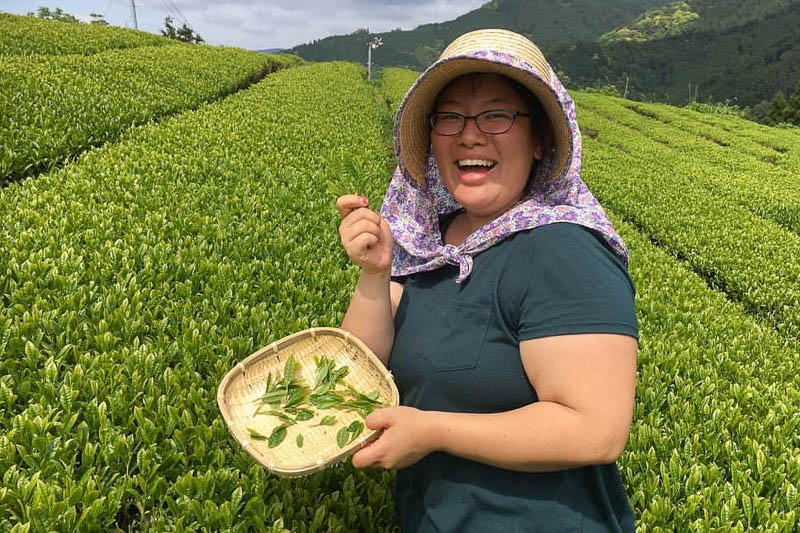 Kelsey picking yame-cha green tea in Fukuoka – one of the top quality teas in Japan!