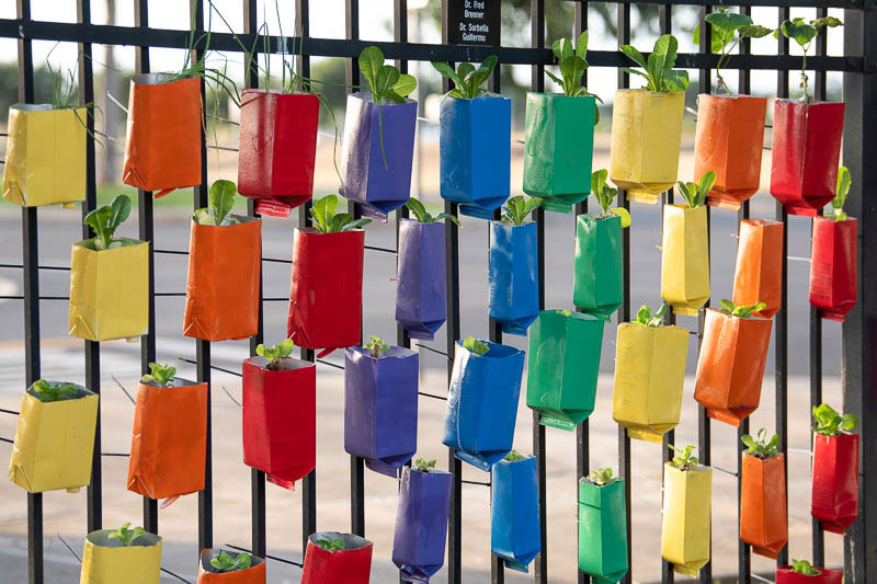 Container garden hanging on fence