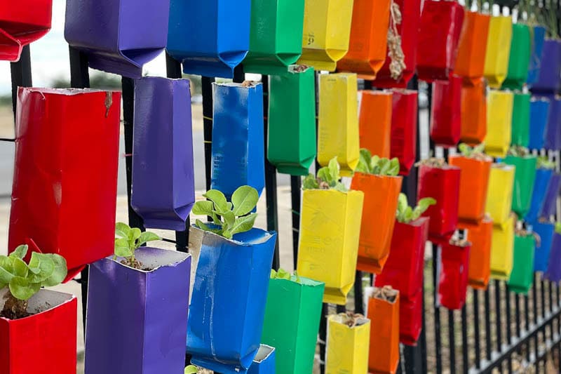 Container garden hanging on fence