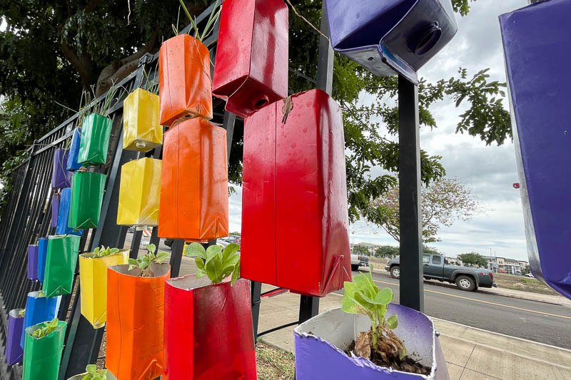 Container garden hanging on fence