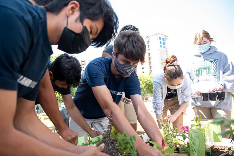 Students planting in the garden