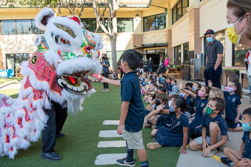 Student feeding lion during lion dance