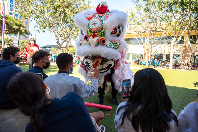 Student feeding lion during lion dance